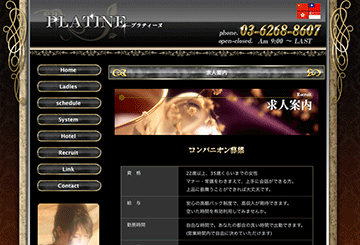 五反田・新橋のデリヘルプラティーヌのホームページ画像
