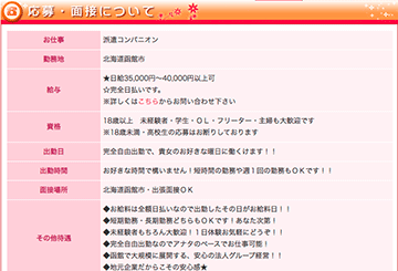 函館のデリヘル美姫のホームページ画像