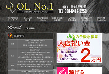 鹿児島のデリヘルOL No.1のホームページ画像