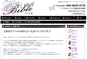 長野のデリヘルバイブルのホームページ画像