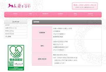 富山のデリヘル人妻レシピのホームページ画像