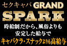 広島のセクキャバ・セクシーパブSPARK（スパーク）のホームページ画像