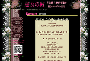 茨城・水戸のデリヘル熟女の城のホームページ画像