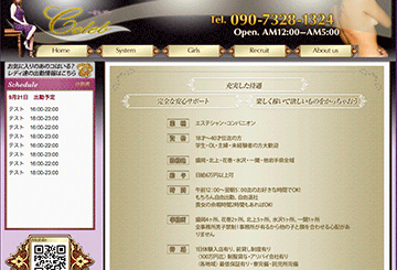 岩手・盛岡のデリヘルCelebのホームページ画像