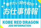 神戸・三宮のデリヘル神戸レッドドラゴンのホームページ画像
