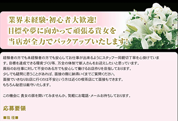 岡山・倉敷のデリヘル越後屋　岡山店のホームページ画像