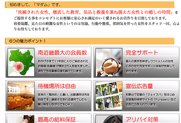 和歌山のデリヘルマダムのホームページ画像